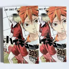 ハイキュー ゴミ捨て場の決戦 映画特典33.5巻 2冊セット