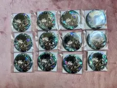 ホロ缶バッジ 緑谷１２点セット【匿名配送】