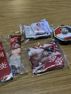 大相撲ガチャ　阿炎　5点セット