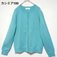 ブルーカーディガン