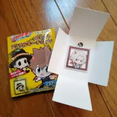 リボーン　アクリルキーチェーン　獄寺隼人