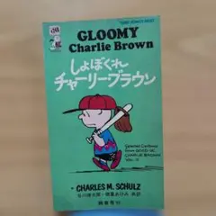 チャップリン Blu-ray box 13枚組 - メルカリ