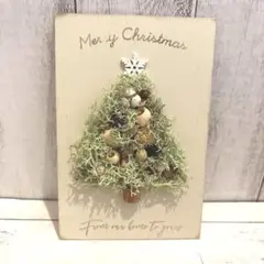 再販！ナチュラルインテリア雑貨　クリスマスツリープレート　ドライフラワー　木の実