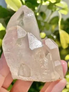 Borders様 リクエスト 6点 まとめ商品