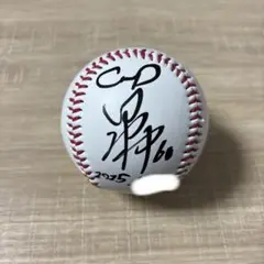 【広島東洋カープ】 田村俊介 直筆サインボール 甲子園試合球 愛工大名電 2025年最新】田村俊介 広島の人気アイテム - メルカリ
