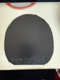 Item thumbnail for item 4caa6b30-0e79-4e95-8cf9-83022440822a