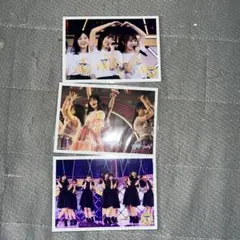 乃木坂ライブ写真5枚