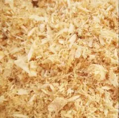 Item thumbnail for item ea0a7999-4378-4831-8b3e-362178539d5c