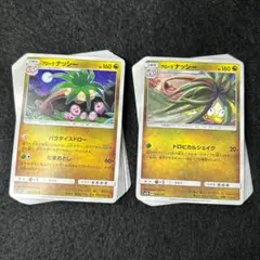 P41 ナッシー 23枚 (14/9)