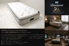 昭和西川 ムアツ スリープスパ プラチナ SP-2 160N シングル 三つ折り