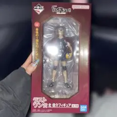 2026年最新】ハイキュー 一番くじ ラストワンの人気アイテム - メルカリ