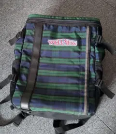 Item thumbnail for item 80fbf8b9-6ada-4169-81a4-d49861d64590