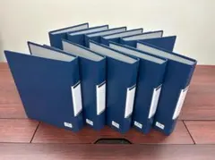 Item thumbnail for item 9c199a06-859c-493b-80ed-2b739ed442c8