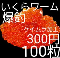 いくらワーム　いくらルアー　ルアー　ワーム　ケイムラ　ニジマス　アジ　メバルのサムネイル