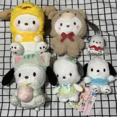 サンリオ ポチャッコ 推しカラー ぬいぐるみ マスコット ガチャガチャ