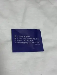 ゼベワン落下物　ゴヌク