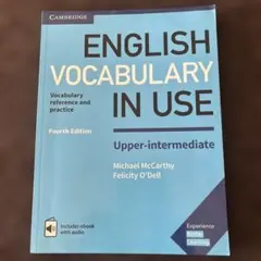 ENGLISH VOCABULARY IN USE