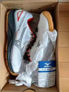 バドミントンシューズ