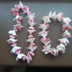 2025年最新】フラダンス ハクの人気アイテム - メルカリ