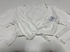 Item thumbnail for item a82f0015-27d8-4442-aa7e-0919057d75ad