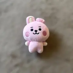 cooky