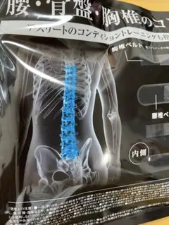 2026年最新】thpソリューションベルトの人気アイテム - メルカリ