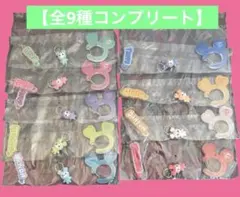 「全9種」TWICE LOVELYS アクリルカラビナフロッキーマスコットコンプ