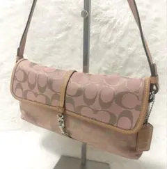 希少色　COACH アクセサリーポーチ ワンショルダー シグネチャー 6348