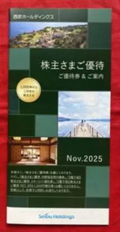 西武ホールディングス 西武鉄道 株主優待券 冊子 1000株以上 1冊