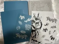 ALD1 アルバム UNBREAKABLE 少年BEAST 開封済み