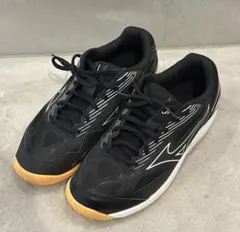 Item thumbnail for item 7a22f647-4700-4e9e-8aaf-791e8d67b177