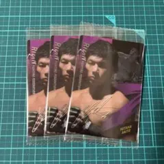 【新品未開封】RIZINウエハース'25 No.17 斎藤裕