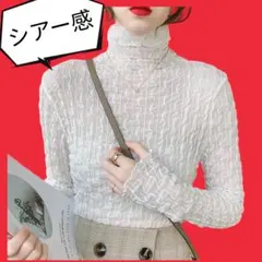 新品☆シアー シースルー ハイネックトップス シフォン 白 定番 春夏