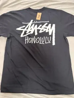 ロー【新品未使用】STUSSY HONOLULU 限定半袖Tシャツ ハワイ限定 STUSSY Honoluluロゴ入 ワイン色 メンズ半袖Tシャツ