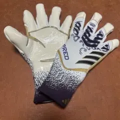 【日本未発売】最終値下げ adidas キーパーグローブ  9 2025年最新】アディダス キーパーグローブ 9の人気アイテム