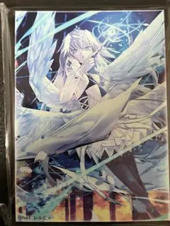 2025年最新】FATE ジャンヌ スリーブの人気アイテム - メルカリ