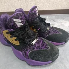 Item thumbnail for item 12ea65bc-d2f8-49dd-9888-2f2c84f4abc4