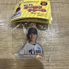 阪神タイガース めじるしオーロラチャーム 木浪聖也選手