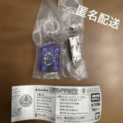 仮面ライダー　「めじるしアクセサリー3」 2種セット