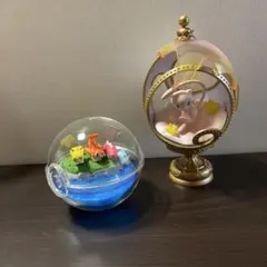 ポケモンオーバルティークコレクション リーメント ミュウ テラリウム シャリタツ