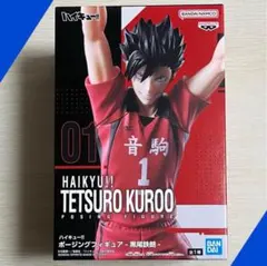 ハイキュー !! ①