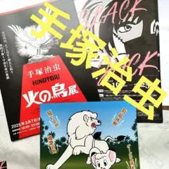 手塚治虫 ファン必見！ 手塚治虫ファン🦋(情けない系)✨ (@kijinnmaru2015) / Posts / X