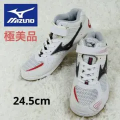 【極美品】レア　MIZUNO 屋内シューズ　体育館シューズ　スニーカー