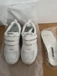 Item thumbnail for item 414db5d2-d186-4ce6-a53d-8d94e8708590