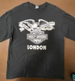 Item thumbnail for item 09f6acee-cf2c-4e25-8026-20965dcef035