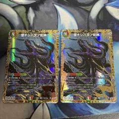 堕チシハ叉ノ蛇神 ナルガロッチヴリドガルド シークレット　シク 2枚