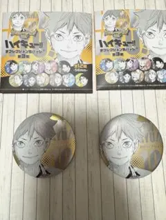 ハイキュー ファンパーク　デコレクション缶バッジ　第３弾　日向翔陽　2点