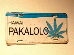 Item thumbnail for item 7a0b21f1-3ee9-4333-9c7f-c701ce5385d2