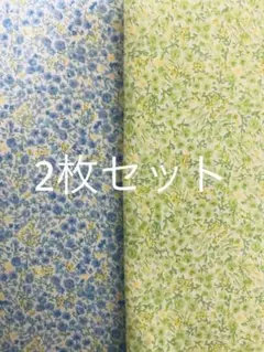 Item thumbnail for item d4695023-8507-45ba-8562-094bf1768fb3