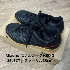 Item thumbnail for item a5c0d7ed-0d78-4284-a785-49a74db85a17